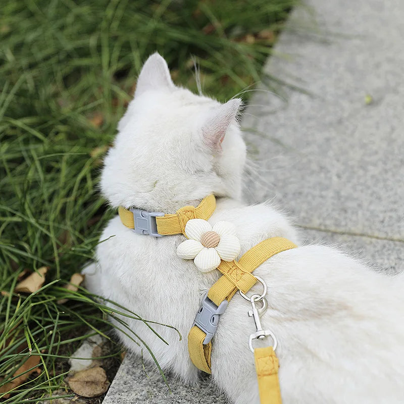 Comfortable Cat & Dog Walking Set