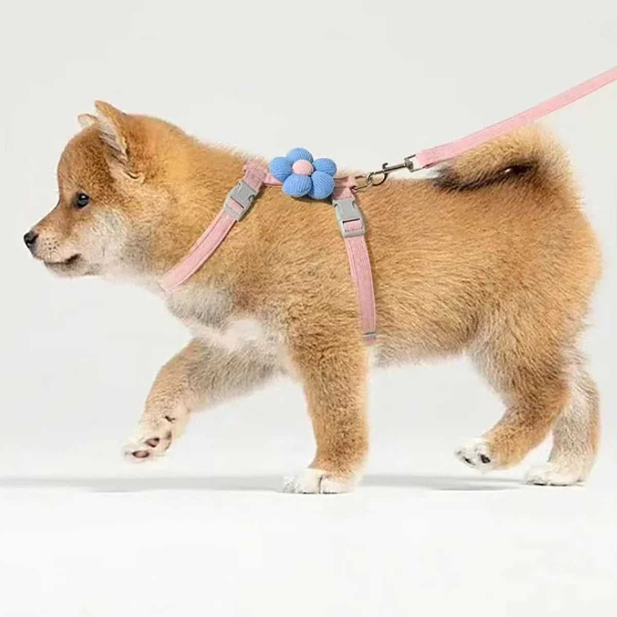 Comfortable Cat & Dog Walking Set