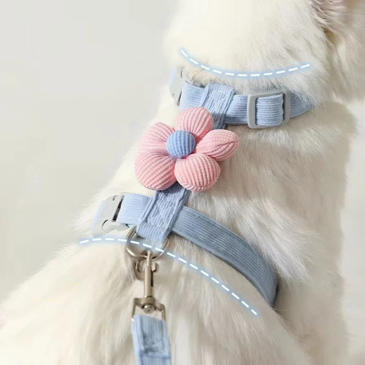 Comfortable Cat & Dog Walking Set